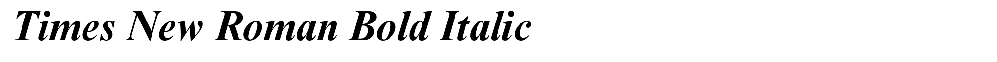 Times New Roman Bold Italic image